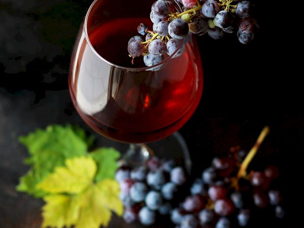 A glass of red wine with grapes and a green leaf on a dark background, in a moody still-life scene.