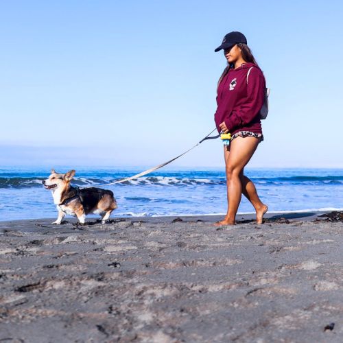 A person and a dog on a sunny beach, turquoise water, clear sky, footprints in the sand, enjoying a seaside stroll.