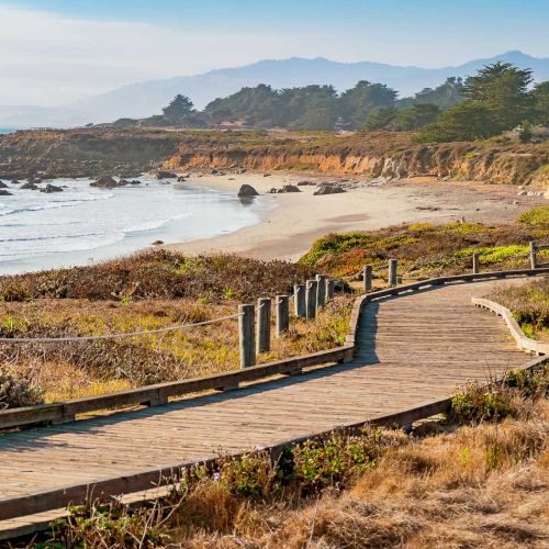 A coastal boardwalk winds along a sandy, rocky shoreline with ocean waves, scrubby grasses, and distant trees under a clear sky.