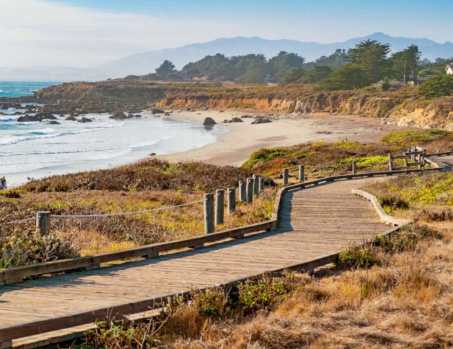 A coastal boardwalk winds along a sandy, rocky shoreline with ocean waves, scrubby grasses, and distant trees under a clear sky.