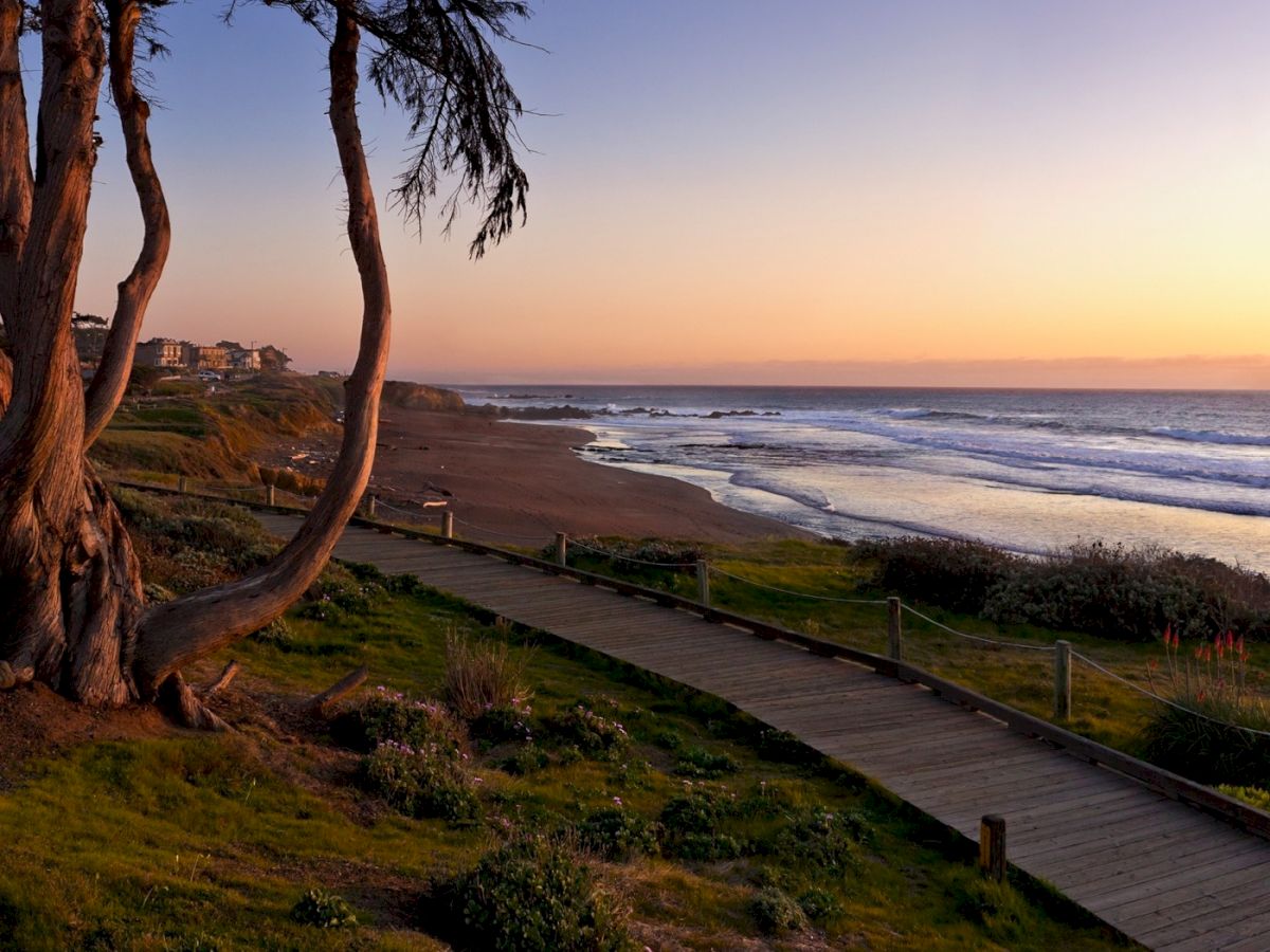 A coastal sunset with a wooden boardwalk winding along the grassy shoreline, trees leaning over the path, and calm waves meeting the horizon at dusk.