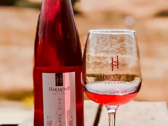A bottle of pink wine and a wine glass with a small pour, set on a wooden table outdoors in a sunny, desert-like scene.
