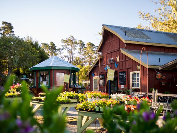 A sunny garden with bright flowers in front of rustic red barns and a small produce stand, with trees behind it.