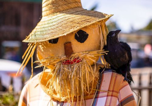 A straw scarecrow wears a woven hat and patchwork burlap, with a black bird perched on its shoulder.