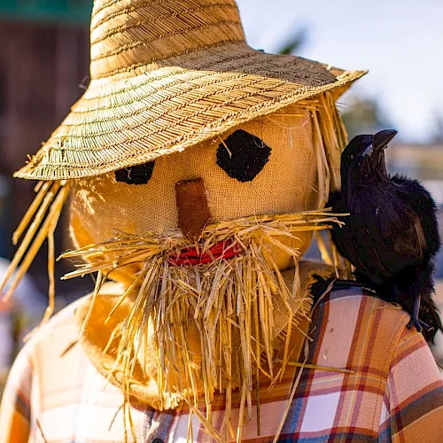 A straw scarecrow wears a woven hat and patchwork burlap, with a black bird perched on its shoulder.