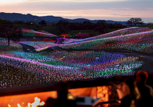 A vast valley filled with glowing LED light sticks at dusk, seen from a hillside with mountains in the background.