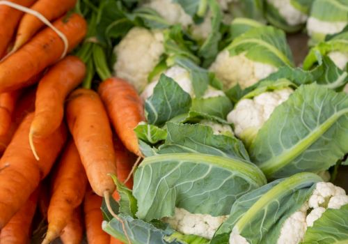Fresh orange carrots are held next to cauliflower heads in a garden harvest.