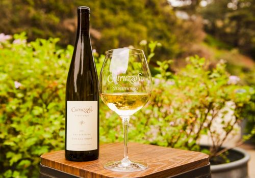 A Ctruzzola Vineyards bottle and filled wine glass rest on a wooden barrel in a lush vineyard garden. Cheers!